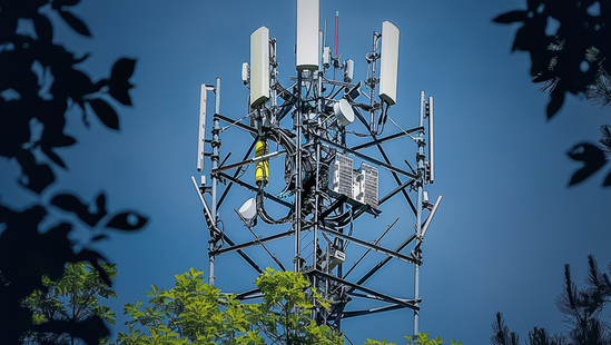 Telecommunications and Networking